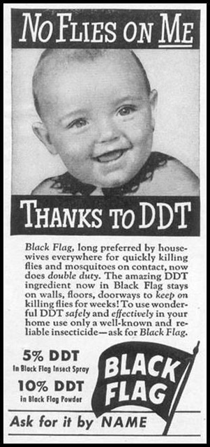 41black flag with ddt