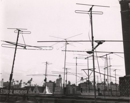 Roof antenna forests