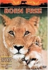 Born Free (1966)