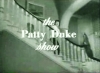 The Patty Duke Show