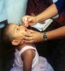 Polio vaccine introduced