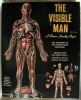 Visible Man and Visible Woman kits